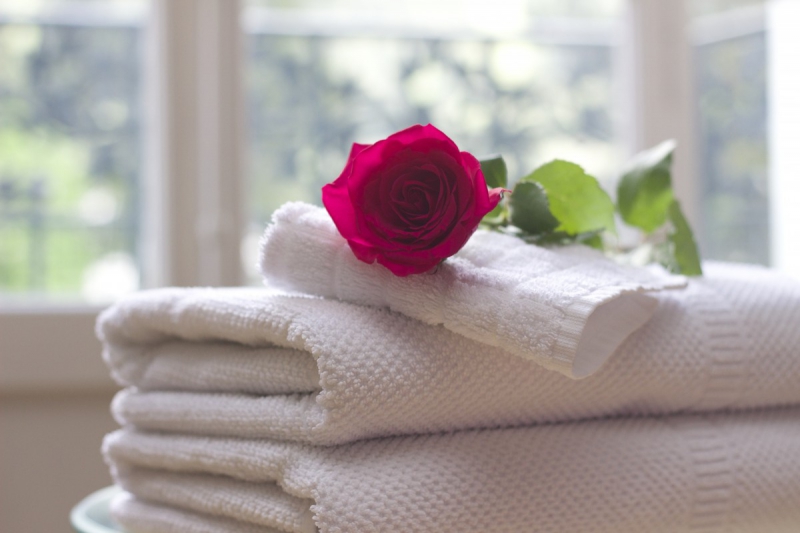 chambre-hote-ASCROS-min_towel_rose_clean_care_salon_spa_white_bath-731641